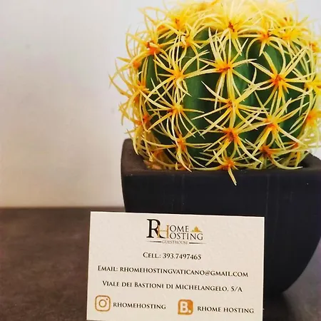 Pensión Rhome Hosting