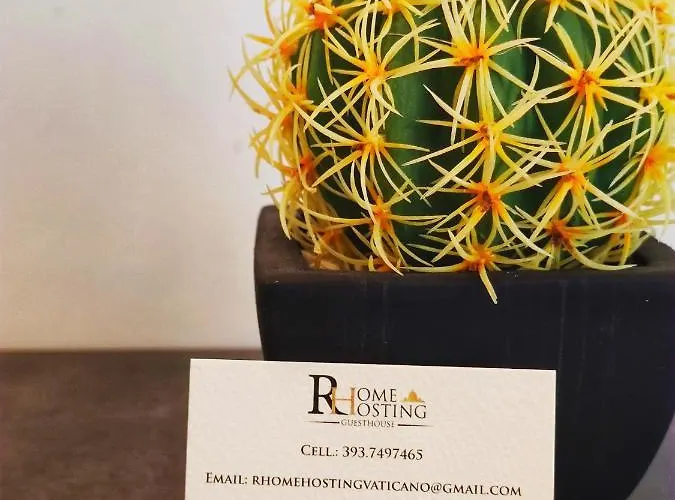 Guest house Rhome Hosting